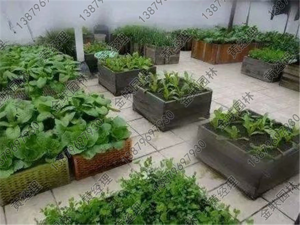 花箱
